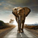 Diamond Painting Elefant auf der Straße