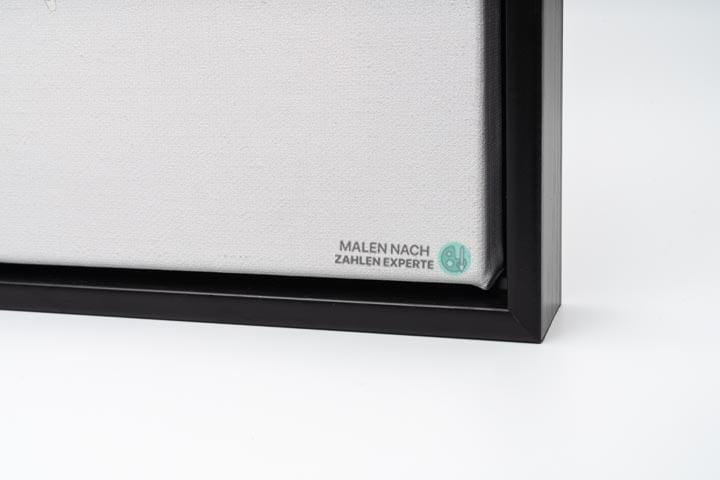 Malen nach Zahlen Nachtwache