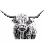 Malen nach Zahlen Schottischer Highlander schwarz-weiß