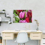 Malen nach Zahlen Tulpen